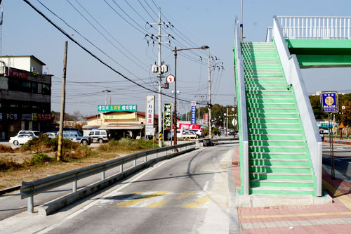 여주고 앞 육교는 육교에서 내려와 다시한번 도로를 건너야 하는 구조로 돼 있어 주의력이 부족한 어린이에게 특히 사고의 위험이 높다 